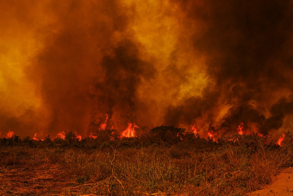 Aumento do risco de queimadas em MS e estados do Pantanal pode repetir tragédia de 2020