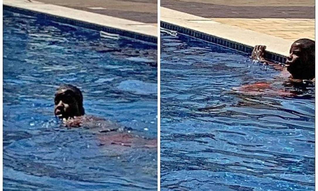 Câmeras de segurança registram homem que estuprou e matou idosa curtindo piscina do condomínio da vítima