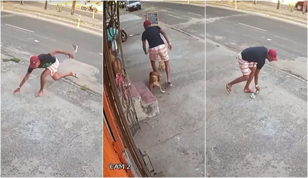 Ladrão atrapalhado desiste de assalto após tropeçar e ser mordido por cachorro no Ceará (VÍDEO)
