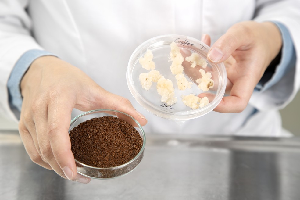 Depois da carne, chega o café de laboratório