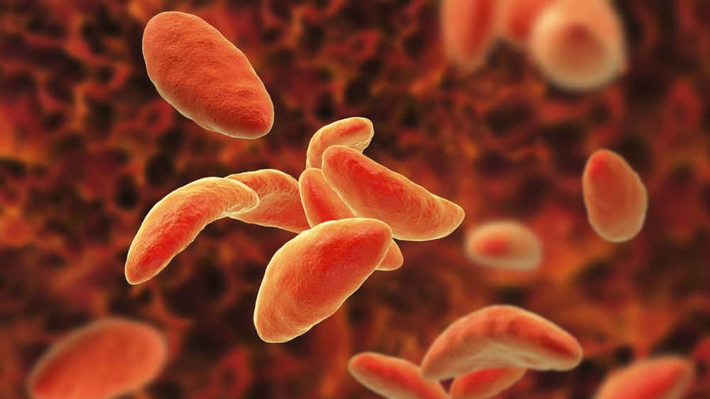 Parasita geneticamente modificado combate câncer, diz cientistas