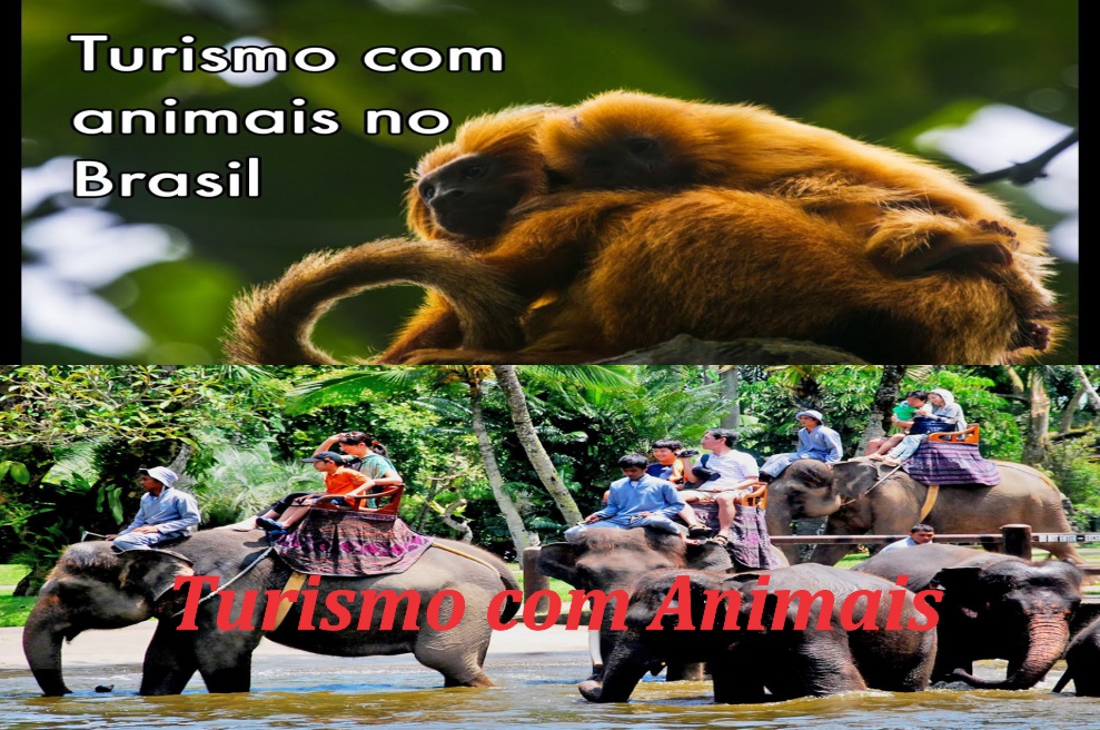 Imagem Parceiros