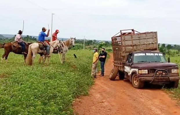 Policia recupera gado furtado na cidade de São Félix do Araguaia e prende dois suspeitos em flagrante