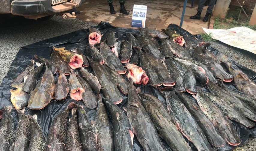 Dois são presos com 400kg de pescado irregular durante período da Piracema