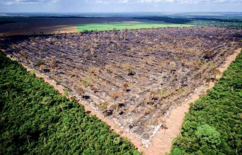 06 municípios da região Araguaia estão entre os principais desmatadores do cerrado de Mato Grosso