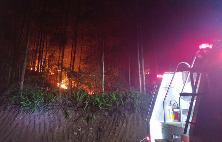 Bombeiros de Barbosa combatem incêndio em vegetação de grandes proporções em Barão