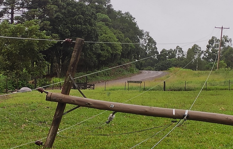 Animal morre eletrocutado após queda de poste na Linha Brasília