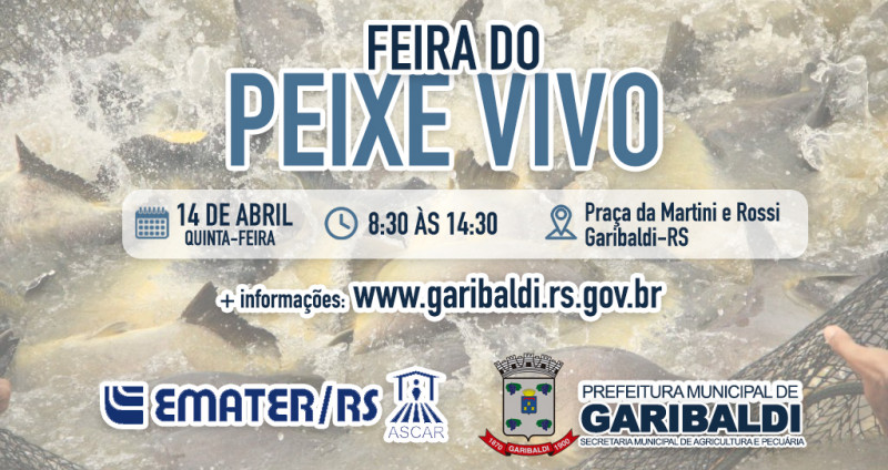 Garibaldi terá Feira do Peixe Vivo, na quinta-feira, 14