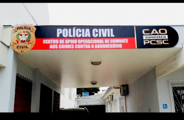 Imagem da Galeria