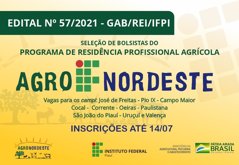 IFPI abre vagas de estágios em União com bolsa de R$ 900,00