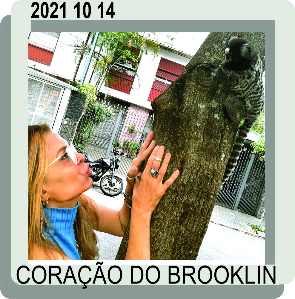 No Brooklin - SP