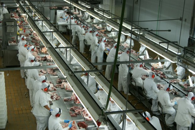 SANTA CATARINA -  Estado retoma crescimento nas exportações de carne de frango em maio