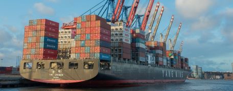 Exportações de carne de frango sobem 16,2% em junho