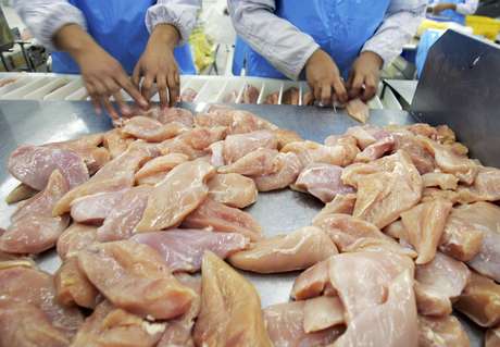 Exportações de carne de frango crescem 16,4% em julho