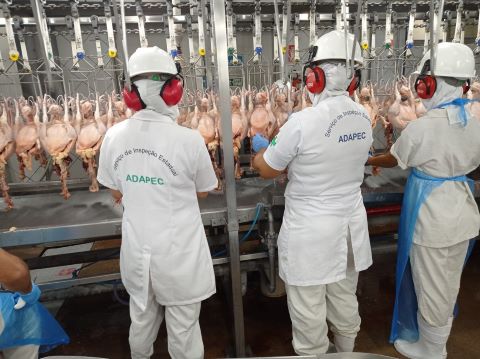 TOCANTINS – Frango Americano aderi ao serviço de inspeção da Adapec