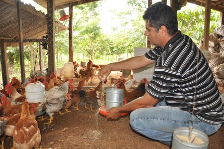 No Dia do Avicultor,  a Boehringer Ingelheim  reforça o seu compromisso com investimentos e lançamentos para o setor