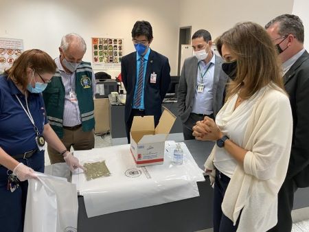 Agricultura proíbe entrada de produtos suínos no ingresso de viajantes ao Brasil