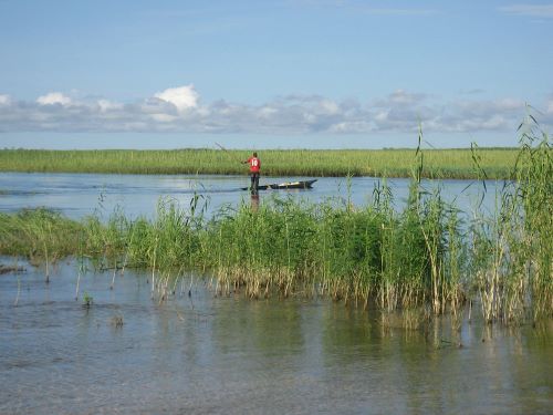 AQUICULTURA E IRRIGAÇÃO - Sistemas integrados de alimentos, terra e água para construir uma resiliência mais rápida