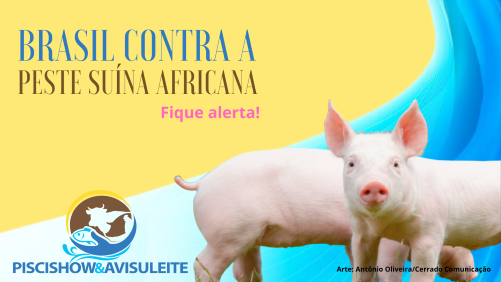 Após registro de PSA no Haiti, ABPA reforça campanha total de prevenção no setor