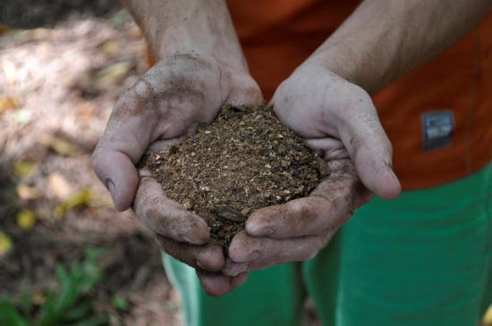 Tese sobre gestão de resíduos sólidos em aquicultura ganha menção honrosa no prêmio Capes 2021
