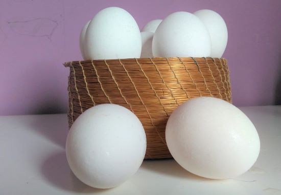 Exportações de ovos crescem 81,5% em 2021