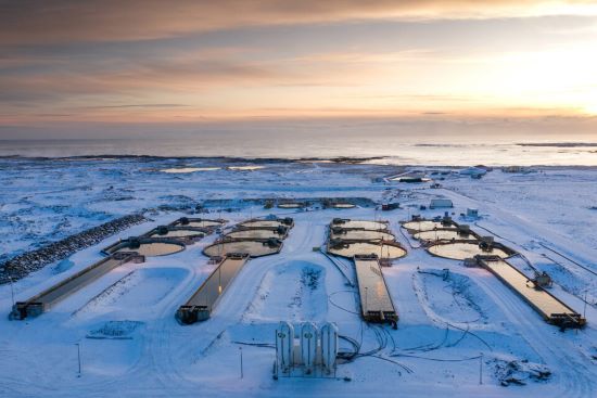 A aquicultura pode ganhar vapor com a energia geotérmica?