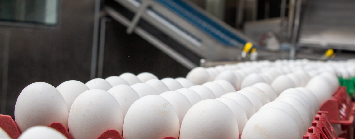 OVOS - Exportações do alimento iniciam 2022 com alta de 42,6%