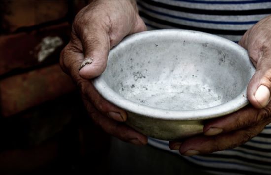 FAESP: Agropecuária brasileira é peça-chave para combater insegurança alimentar mundial