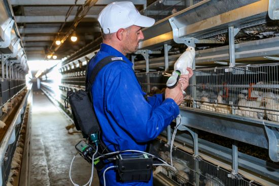 Congresso de Ovos APA 2022 - Phibro leva tecnologia para gerenciamento de vacinação de aves
