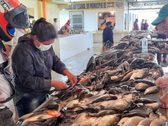 AMAZONAS - Fapeam pesquisa autenticação genética de pescados para garantir segurança alimentar no comércio