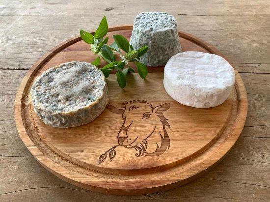 ESPECIAL - Capril e queijaria Rancho Alegre harmoniza sabor e sustentabilidade em produtos artesanais