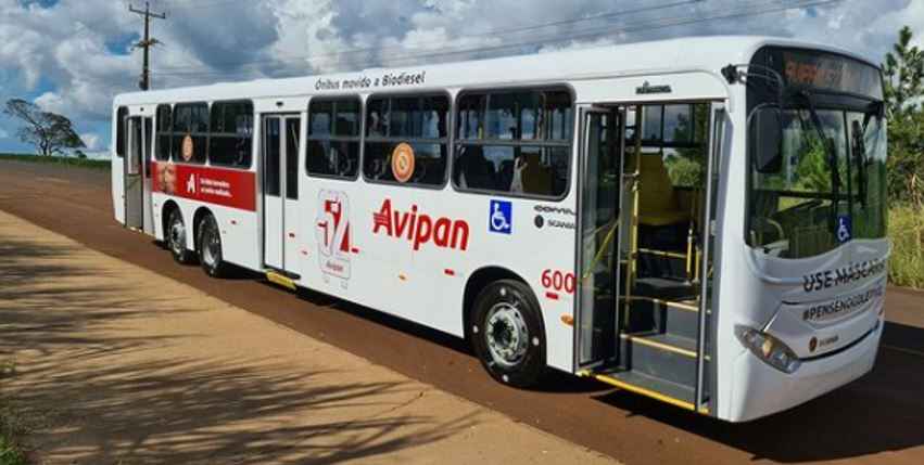 Avipan