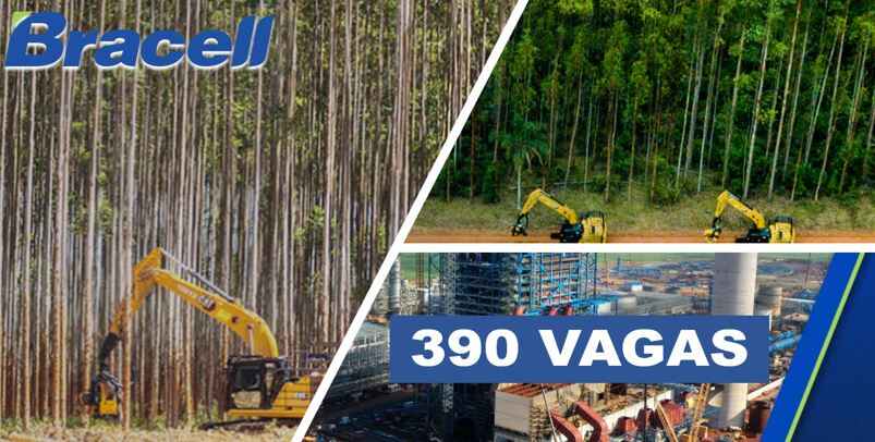 Bracell abre 390 vagas de empregos