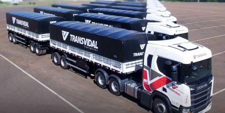 Grupo Transvidal