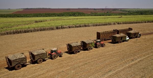 Imagem mostra caminhões e máquinas agrícolas na lavoura de cana de açúcar 