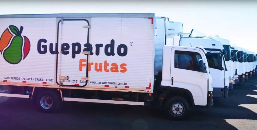 A foto mostra a frota de caminhões da empresa Guepardo Frutas