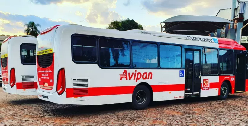 A foto mostra 2 ônibus que fazem parte da frota da empresa Avipan