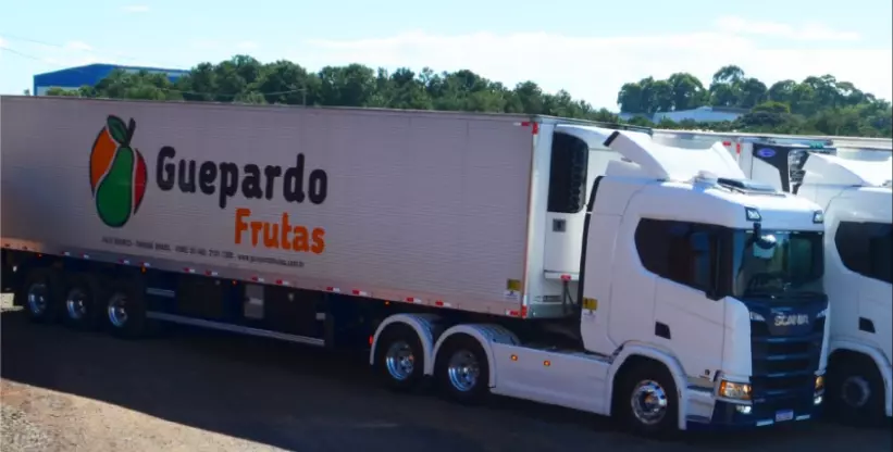 A foto mostra a frota de carretas da Guepardo Frutas