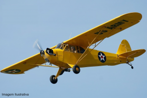 Vintage Cub