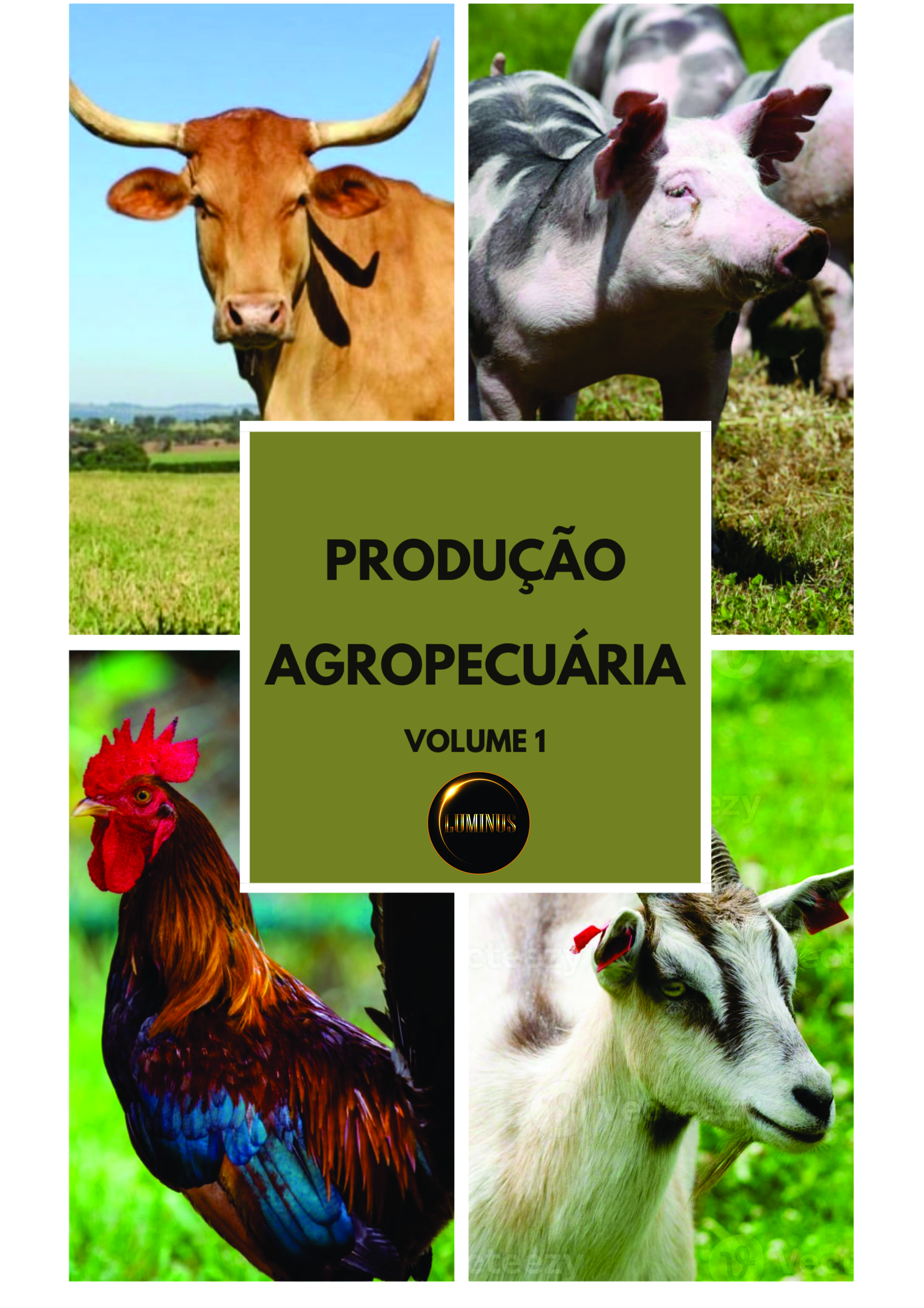 Publicações