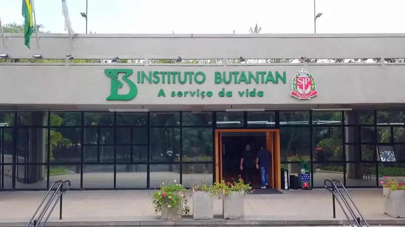 Butantan estuda a criação de uma vacina única contra a gripe e a COVID-19