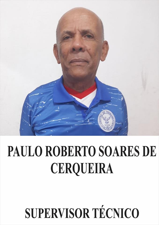 PROFISSIONAIS